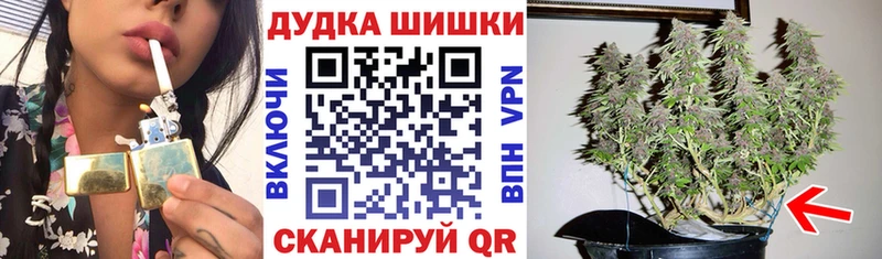 Конопля планчик  гидра рабочий сайт  Северская  где продают  